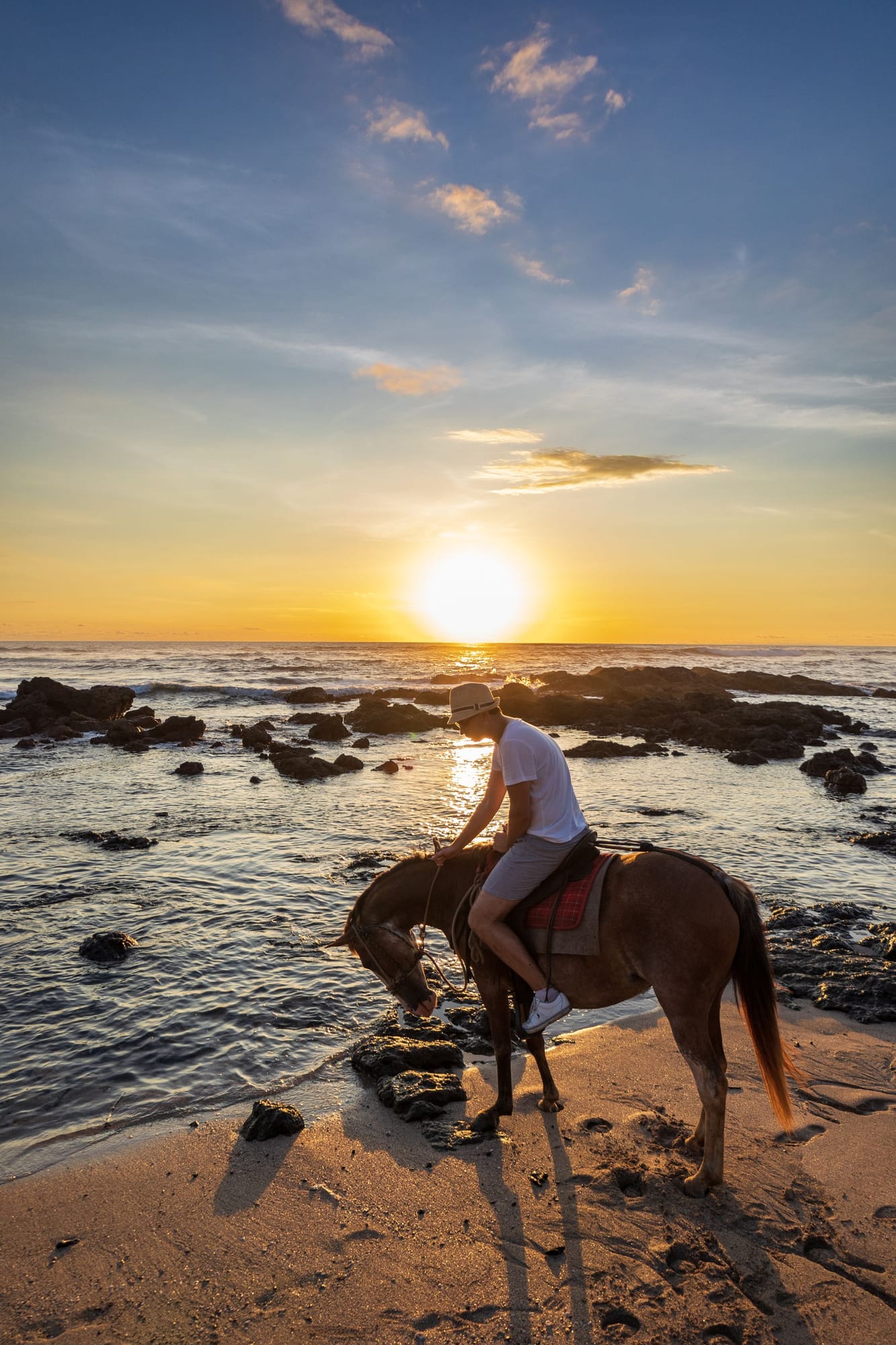 Beach Horse Ride